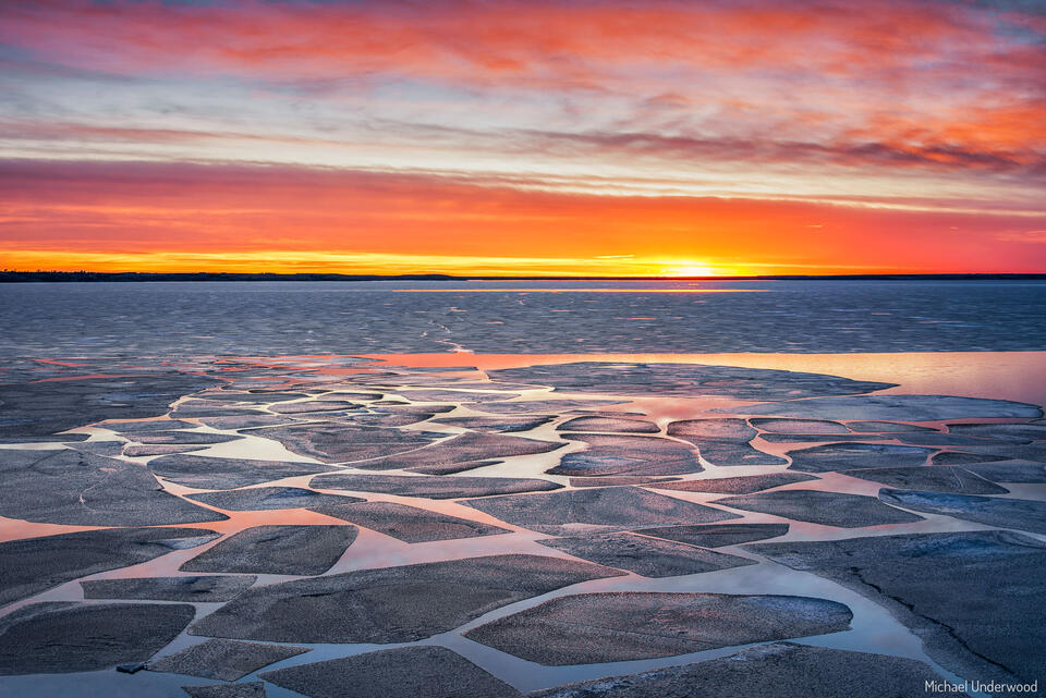 Icy Mosaic  print