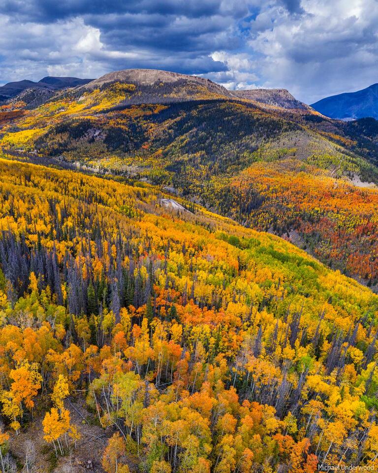 Colorful Creede print