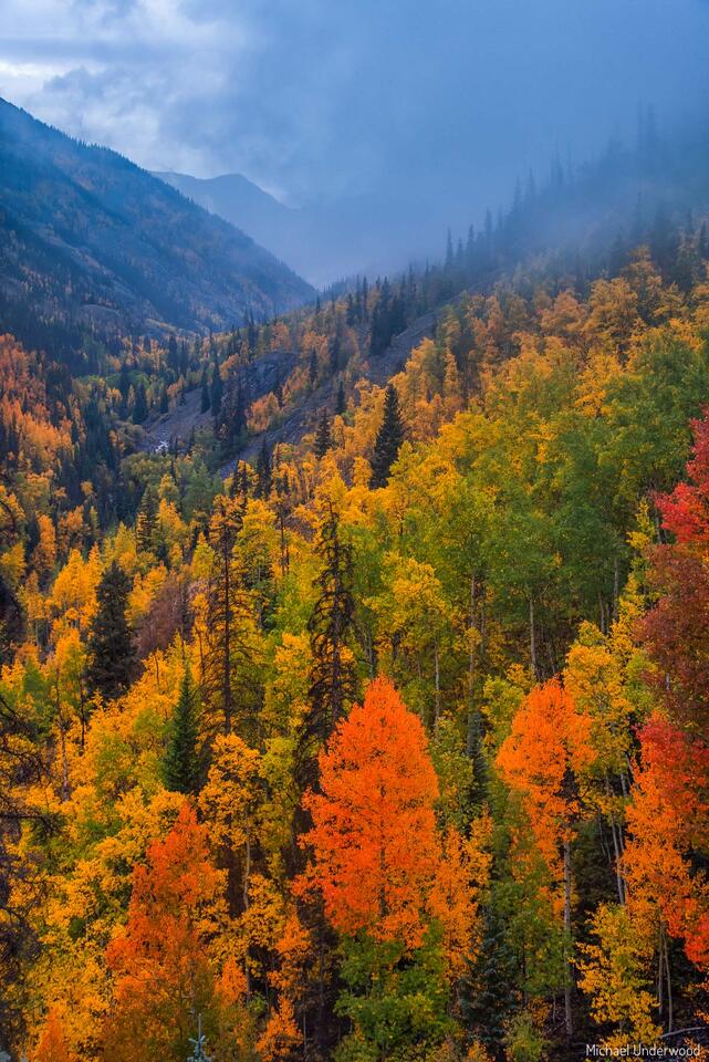 Autumn Rains print