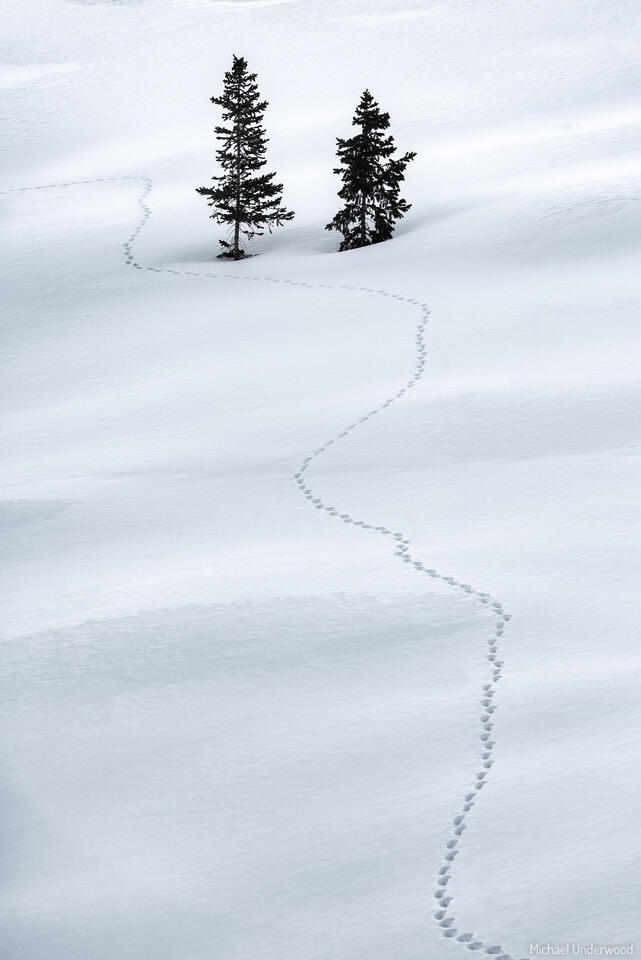 Passing Through print