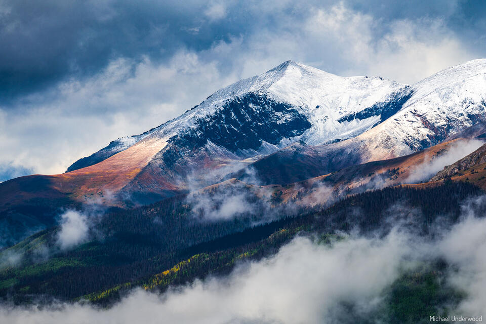 Sunshine Snow print