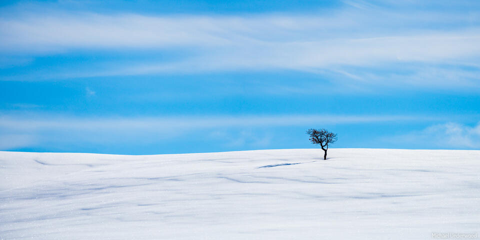 Winter Solitude print