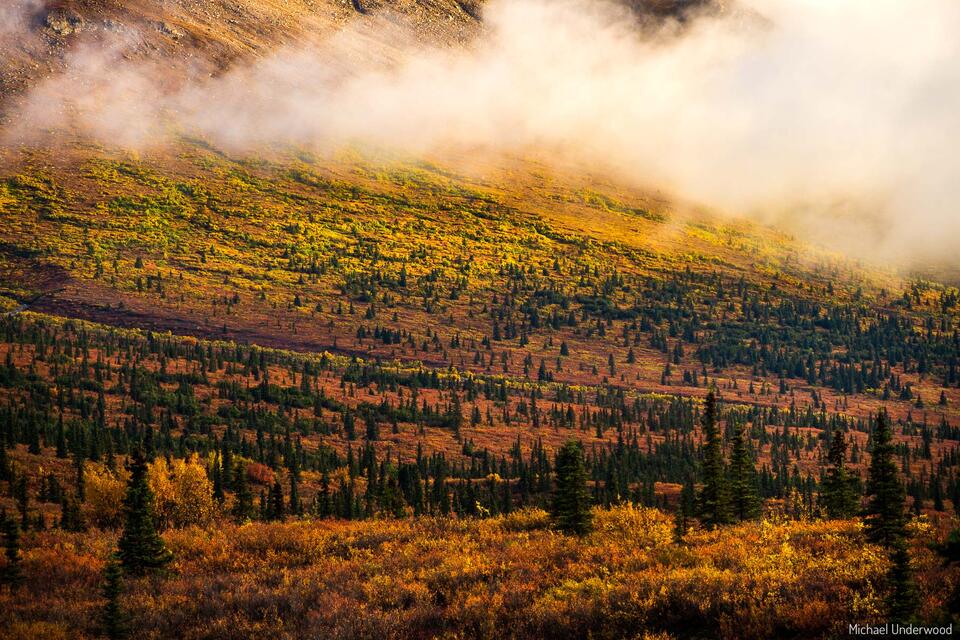 Alaskan Light print