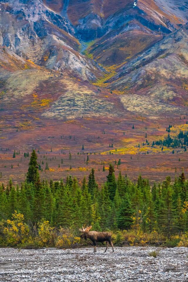 Empire of Tundra print