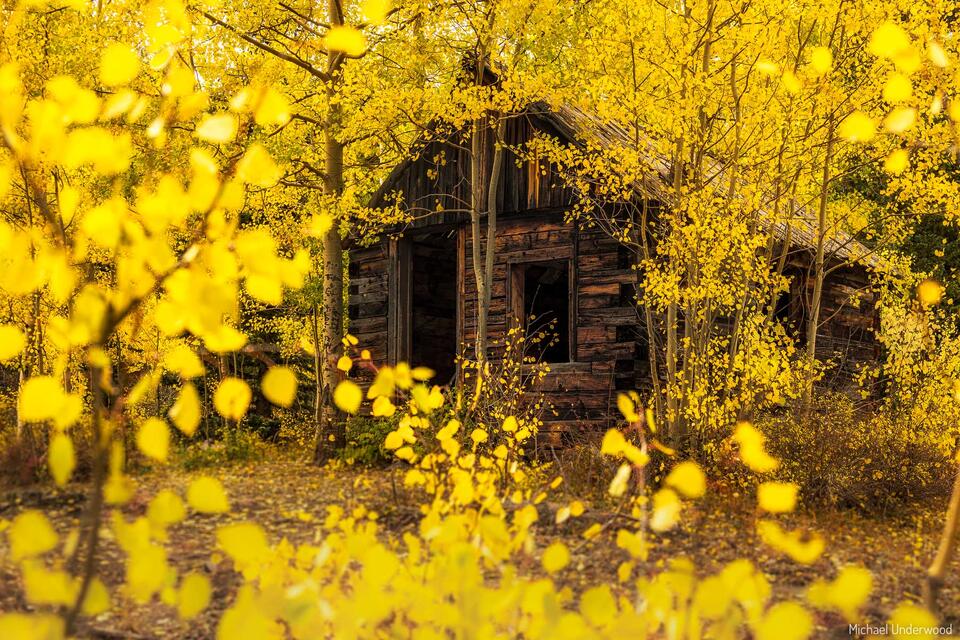 Autumn Cabin print