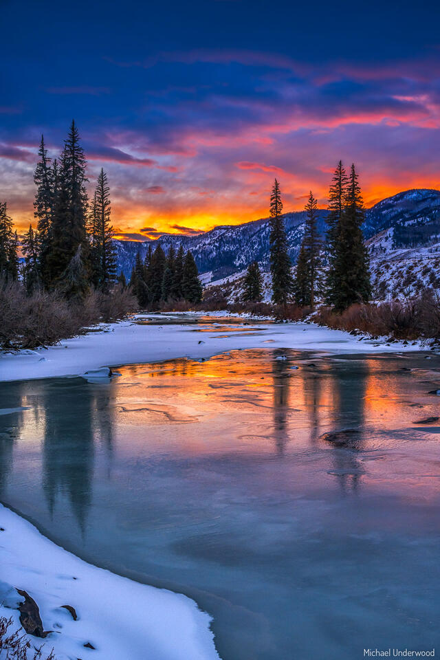 Frozen Grande print