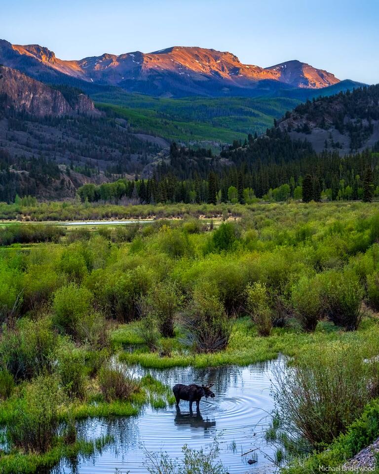 Evening in the Mountains print