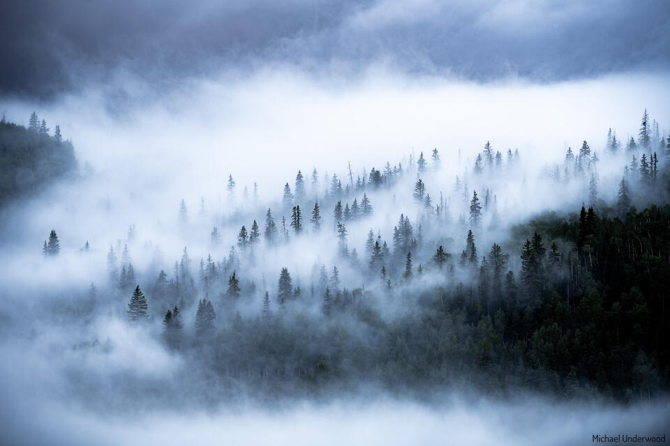 Among the Clouds print