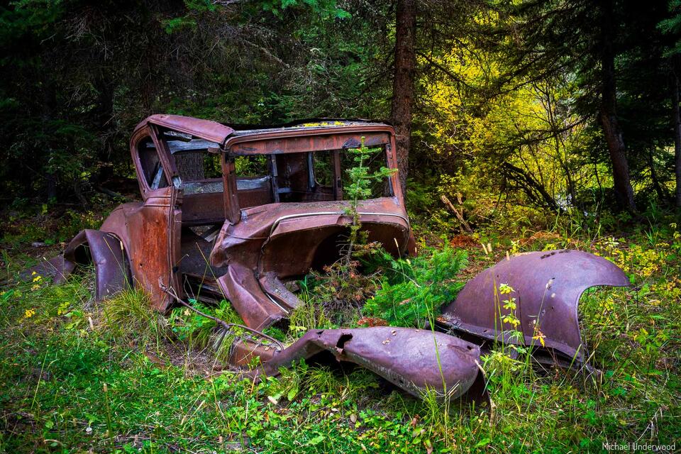 Timber Relic print