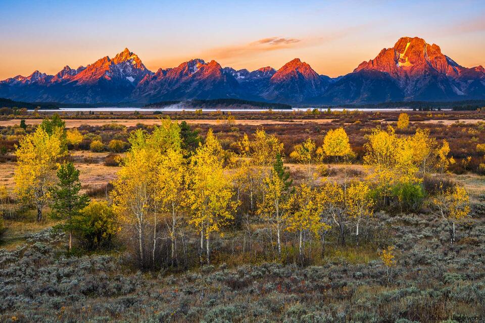Teton Autumn print