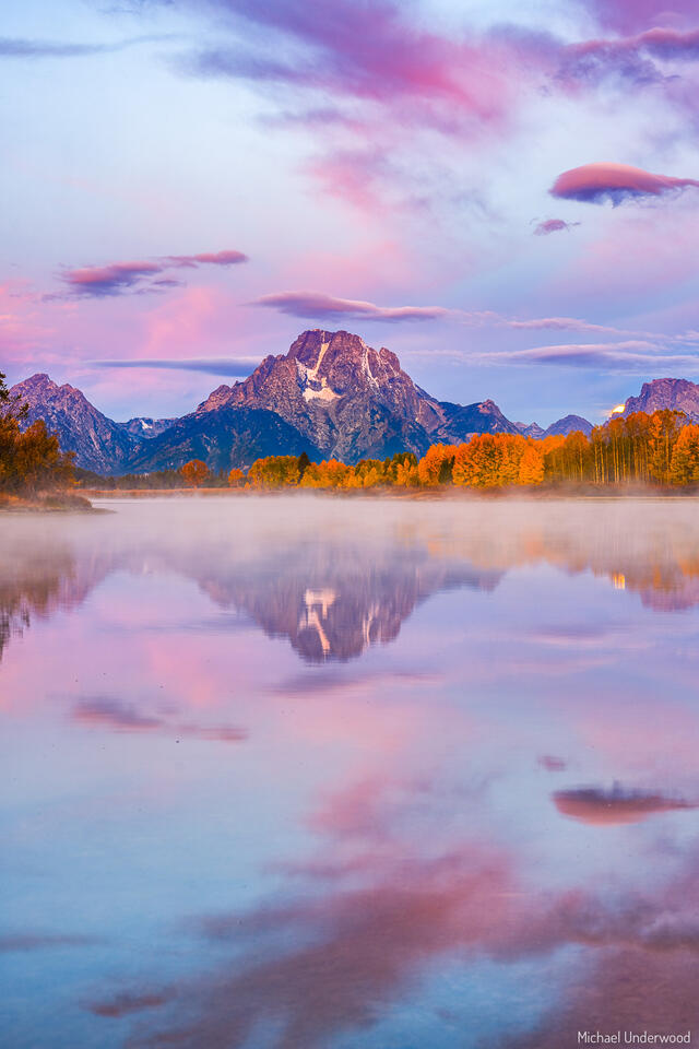 Pink Oxbow print