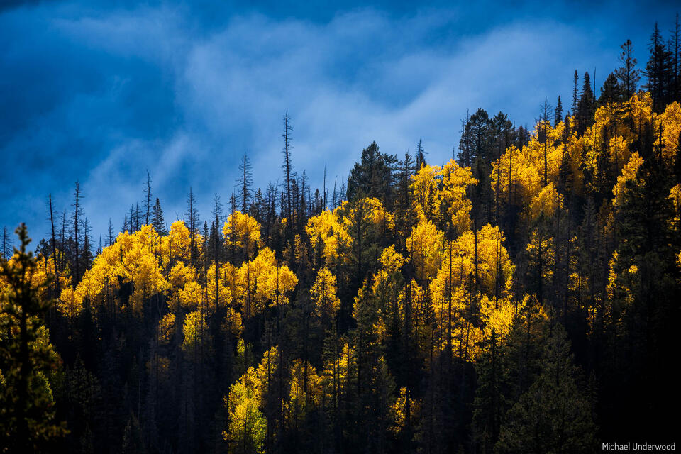 Autumn Inversion print