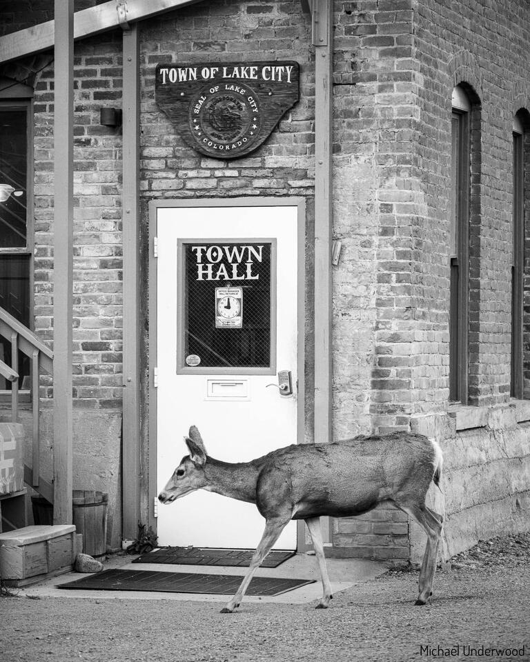 Town of Lake City print
