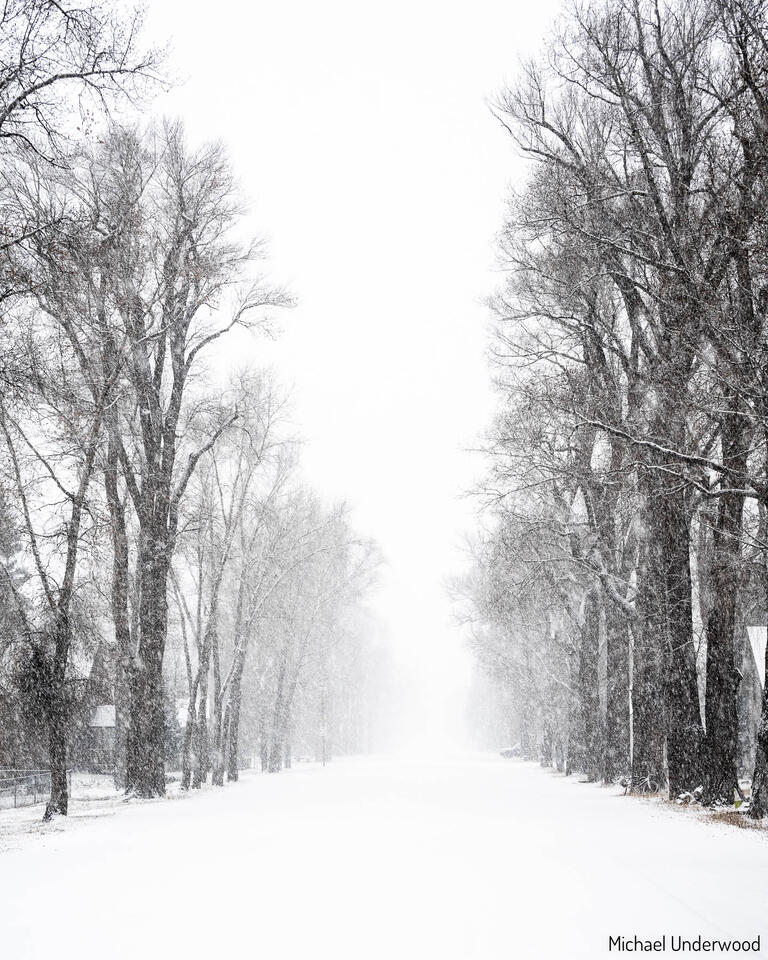 Gunnison Avenue Whiteout print