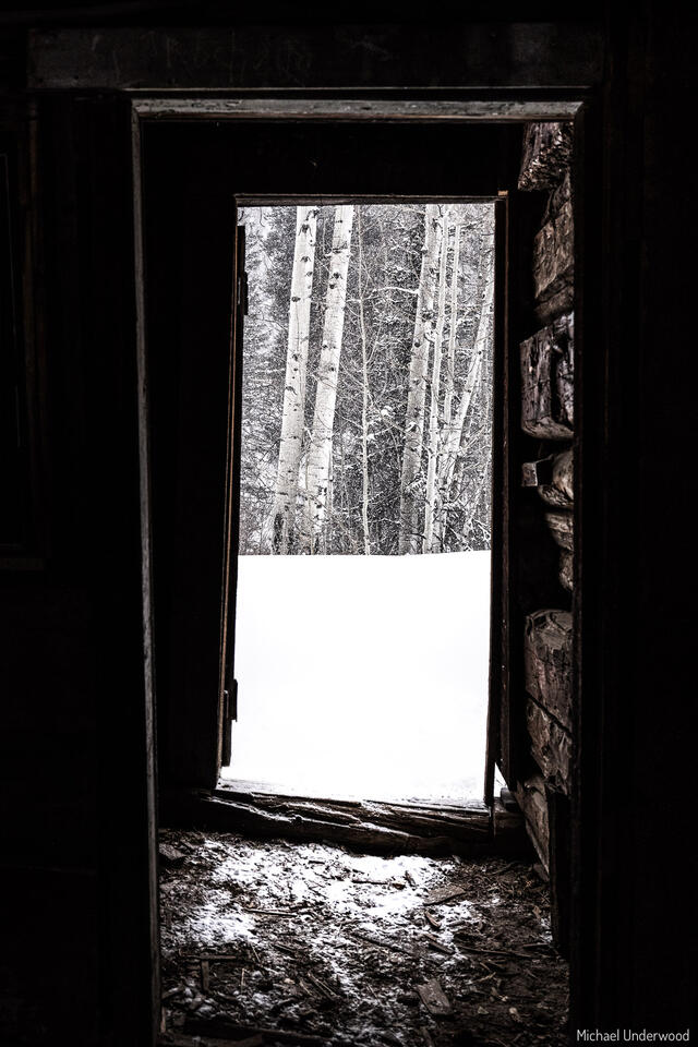 Let Winter In print