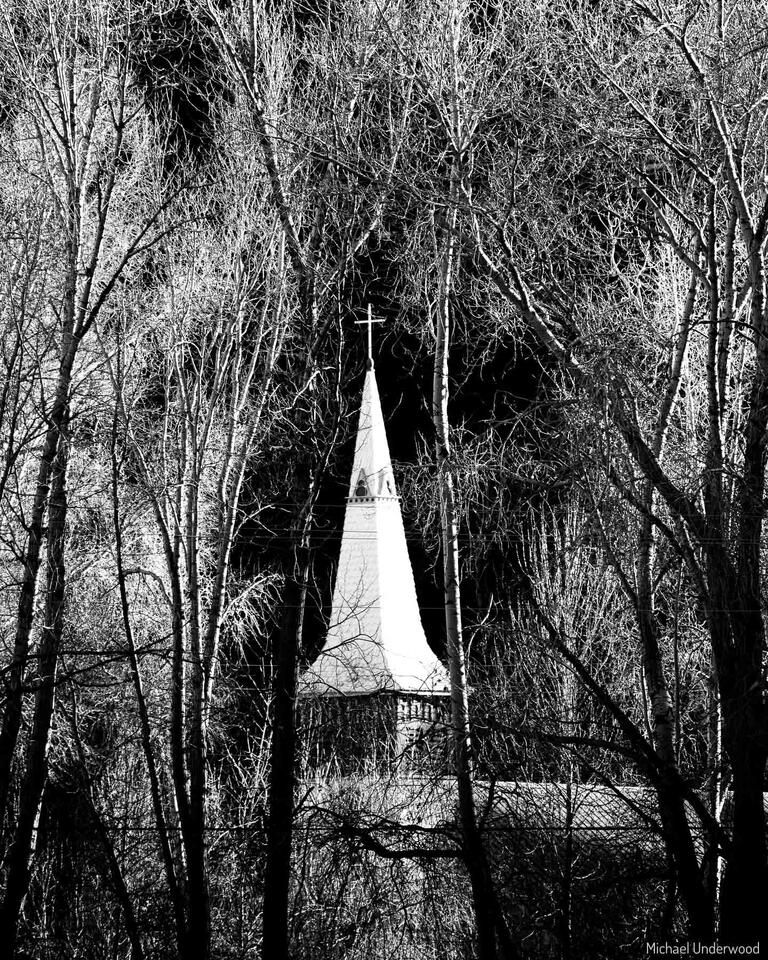 Light in the Trees print