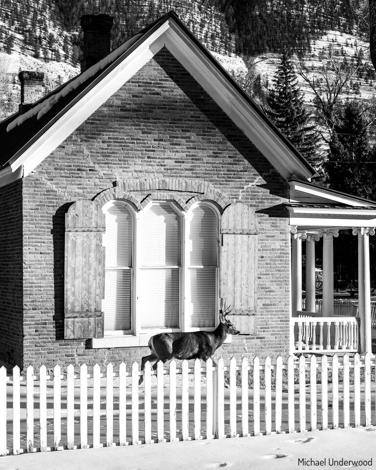 Home Owner print