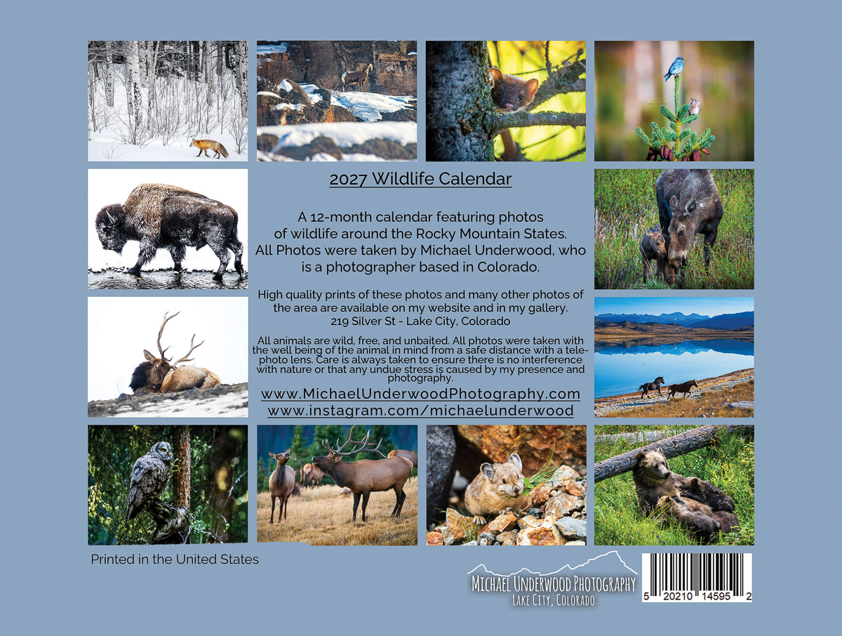 Wildlife Back